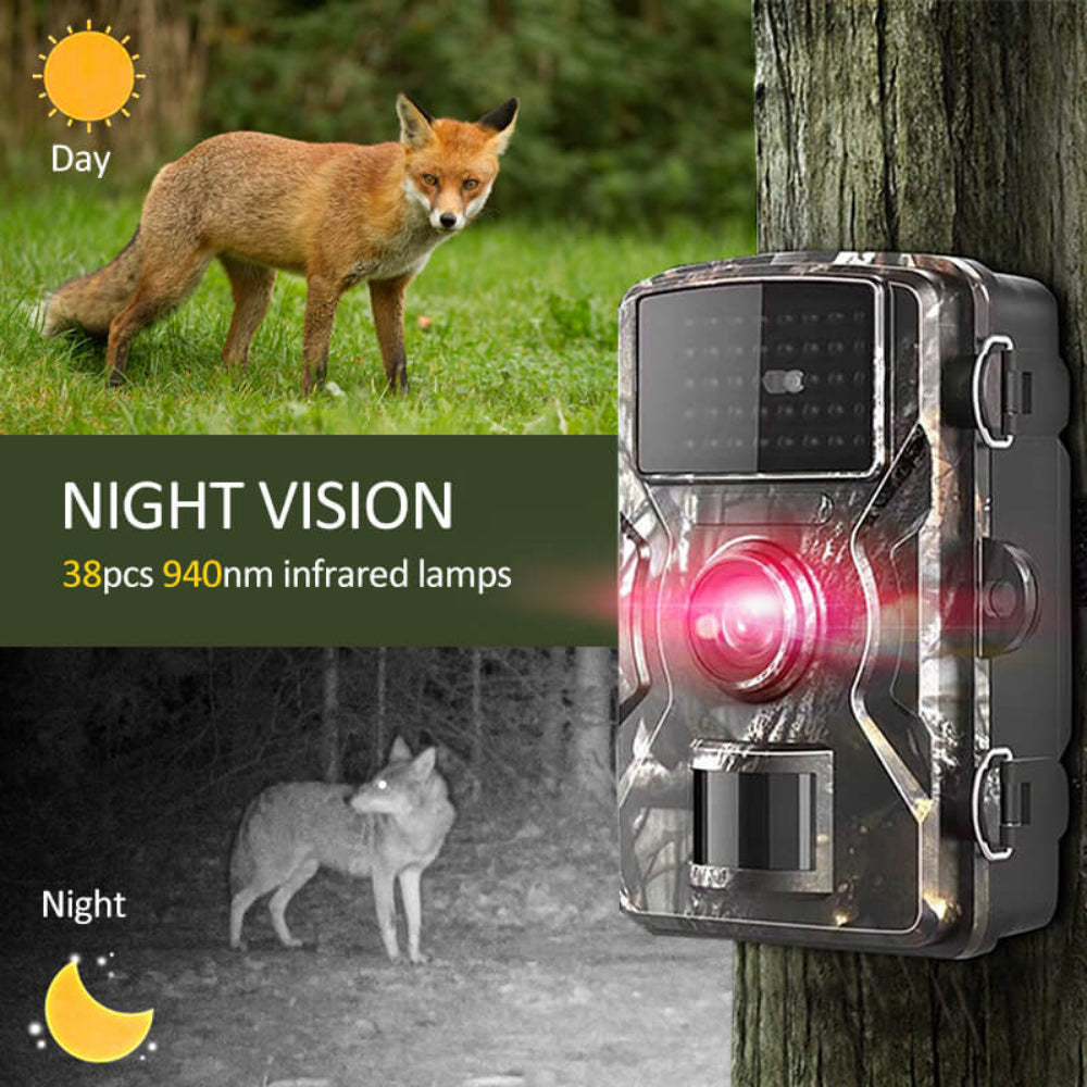 Outdoor Wildlife Trail Cam with Infrared Night Vision and Motion Detection