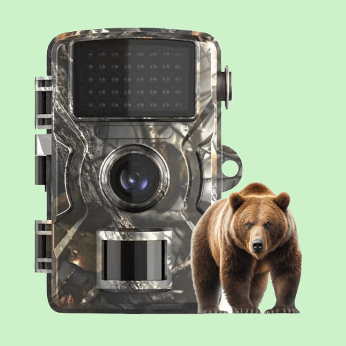 Outdoor Wildlife Trail Cam with Infrared Night Vision and Motion Detection
