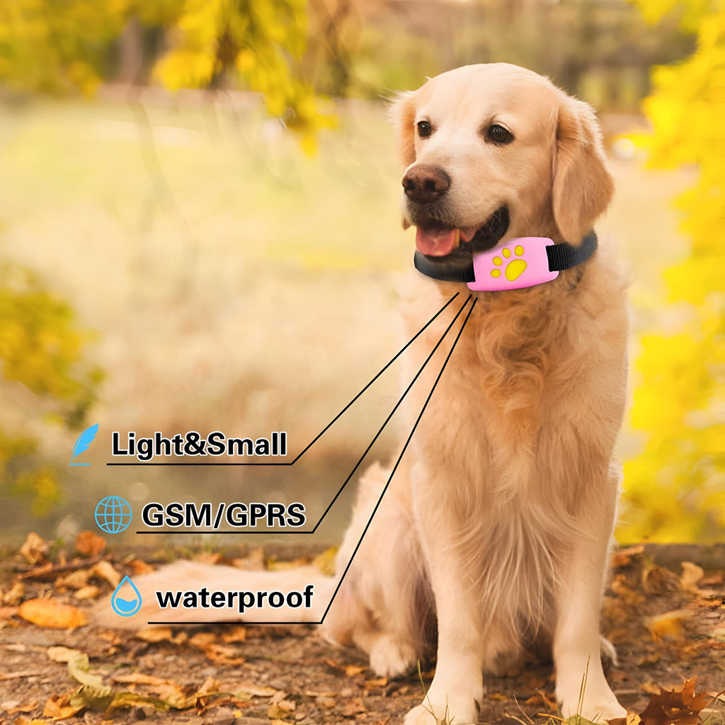 Waterproof Real-Time GPS Locator Collar for Pets