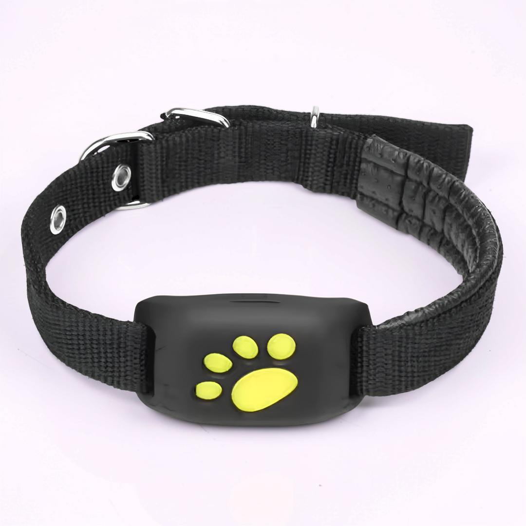 Waterproof Real-Time GPS Locator Collar for Pets