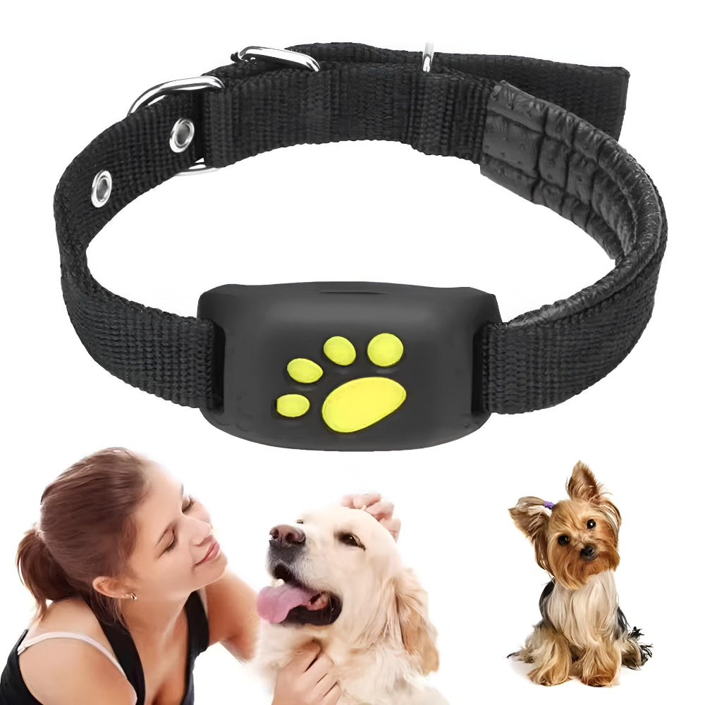 Waterproof Real-Time GPS Locator Collar for Pets