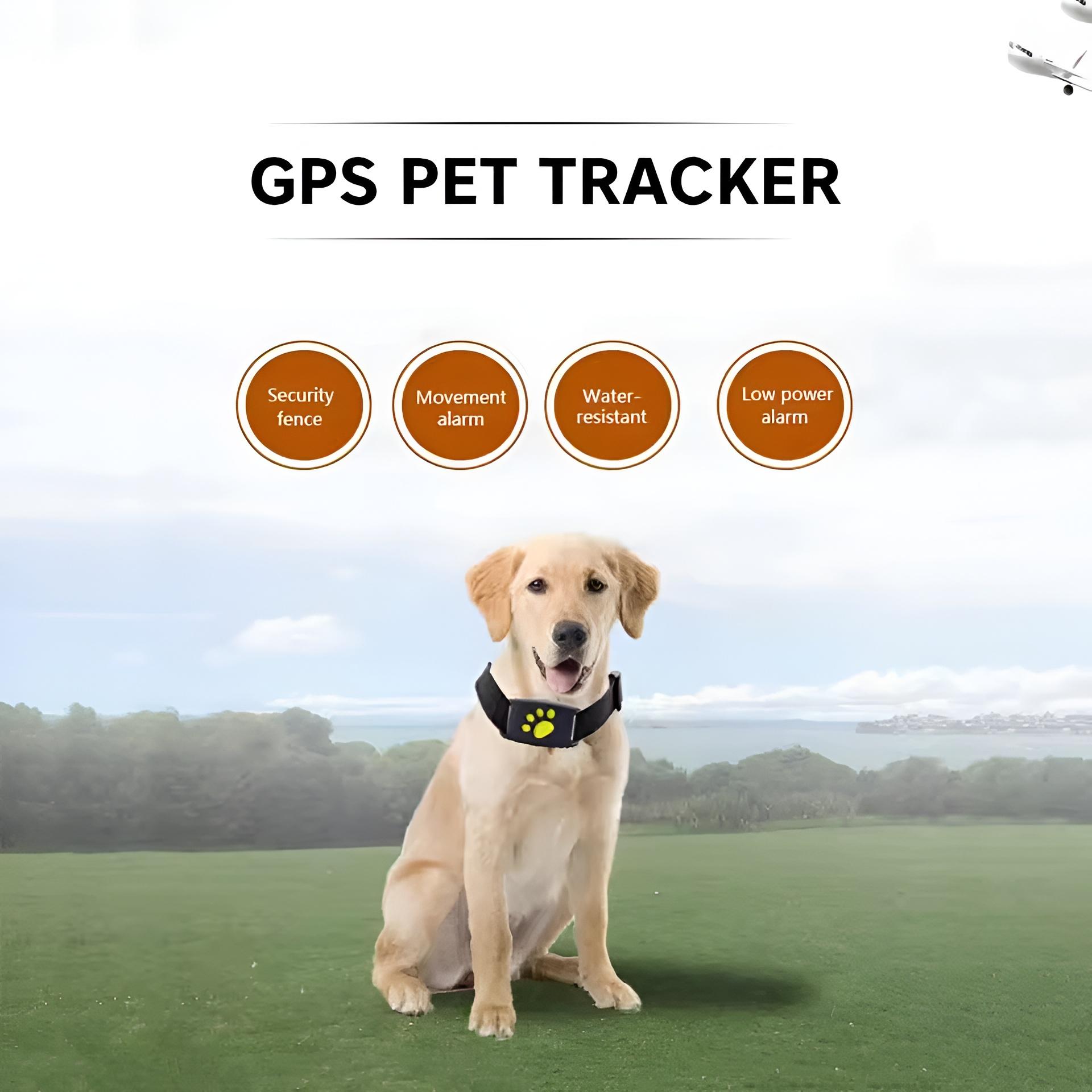 Waterproof Real-Time GPS Locator Collar for Pets