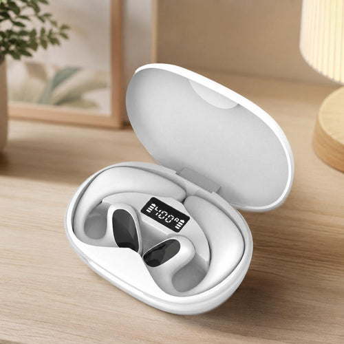 Bluetooth Translator Earbuds with Charging Case