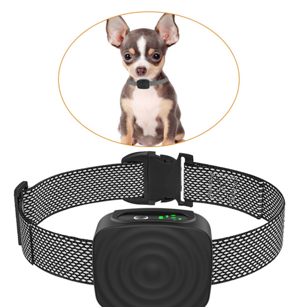 Anti-Bark Training Collar for Small Breeds