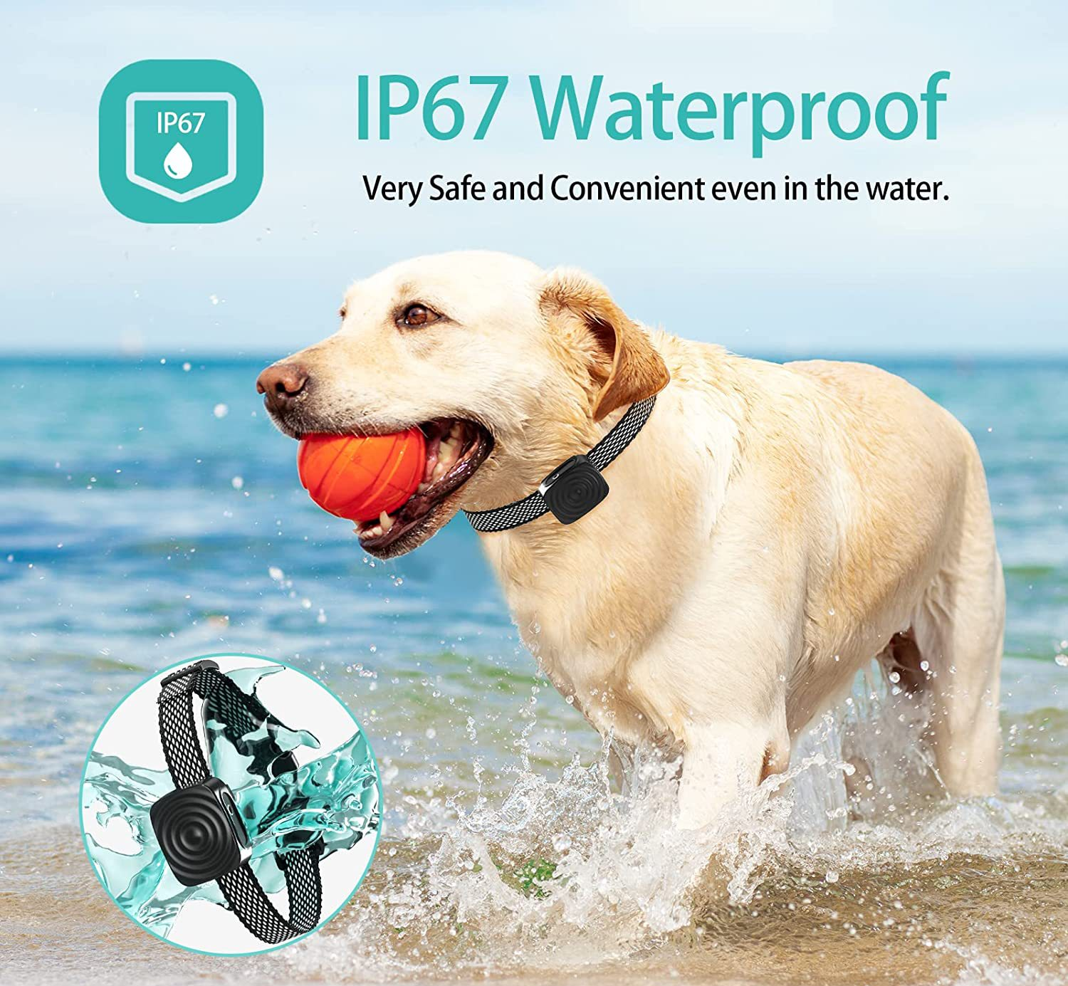Anti-Bark Training Collar for Small Breeds