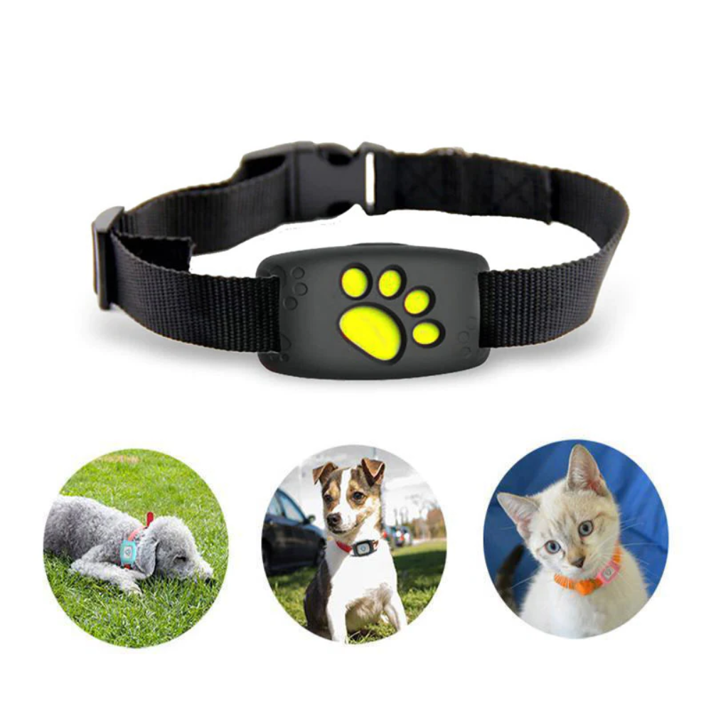 Waterproof Real-Time GPS Locator Collar for Pets