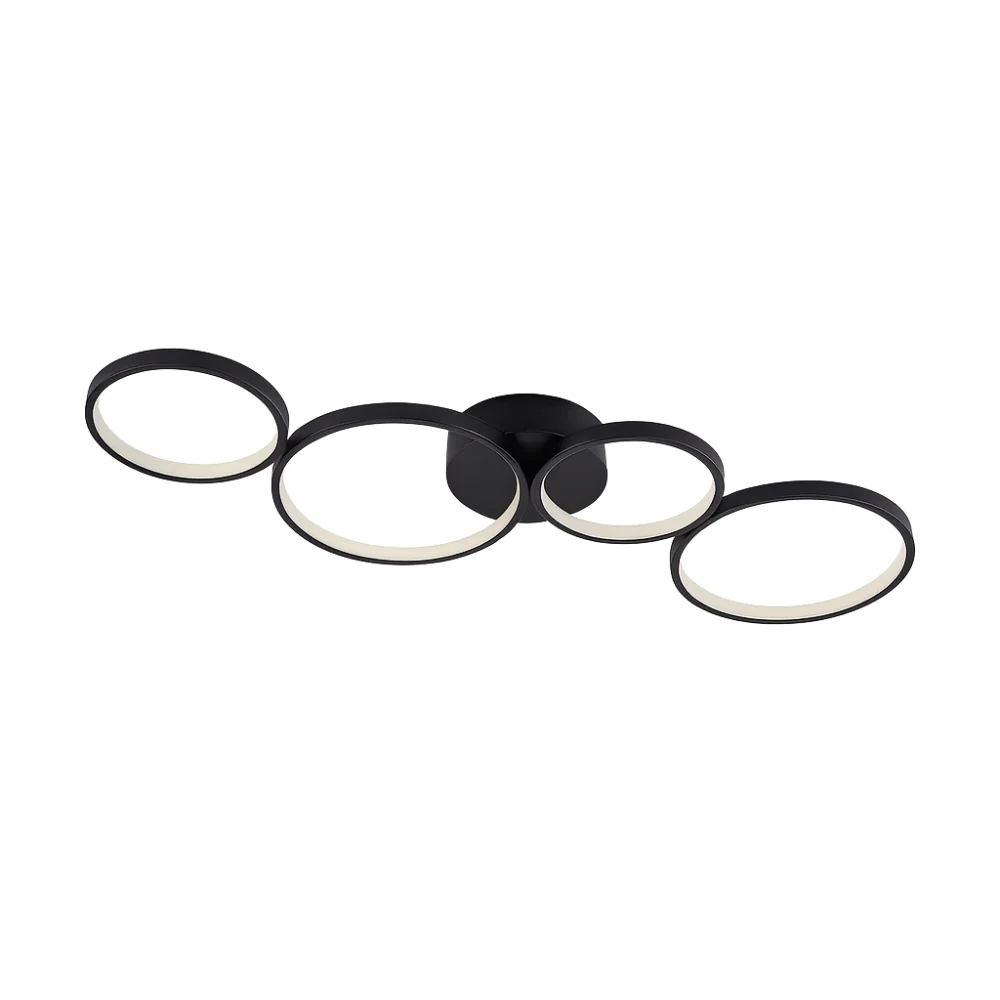 Ceiling Light LED Flush Mount Black Modern Ring Fixture